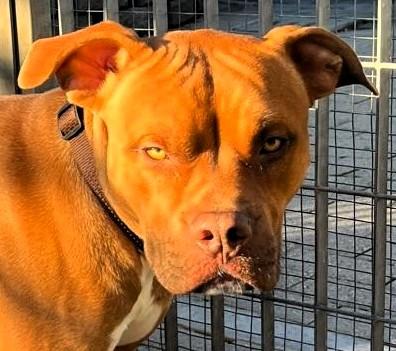 NILO CERCA CASA Foto 7